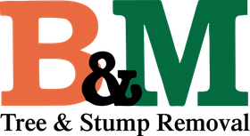 B & M Tree & Sump Removal logo