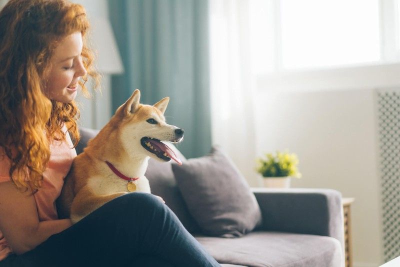 A woman is sitting on a couch holding a dog.