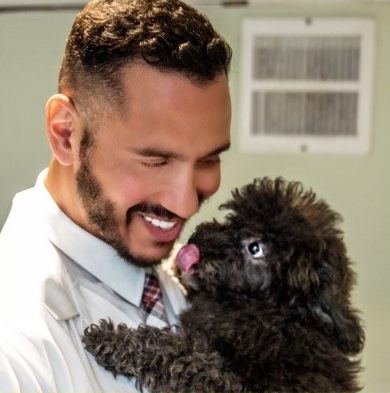 A man in a lab coat is holding a small black dog