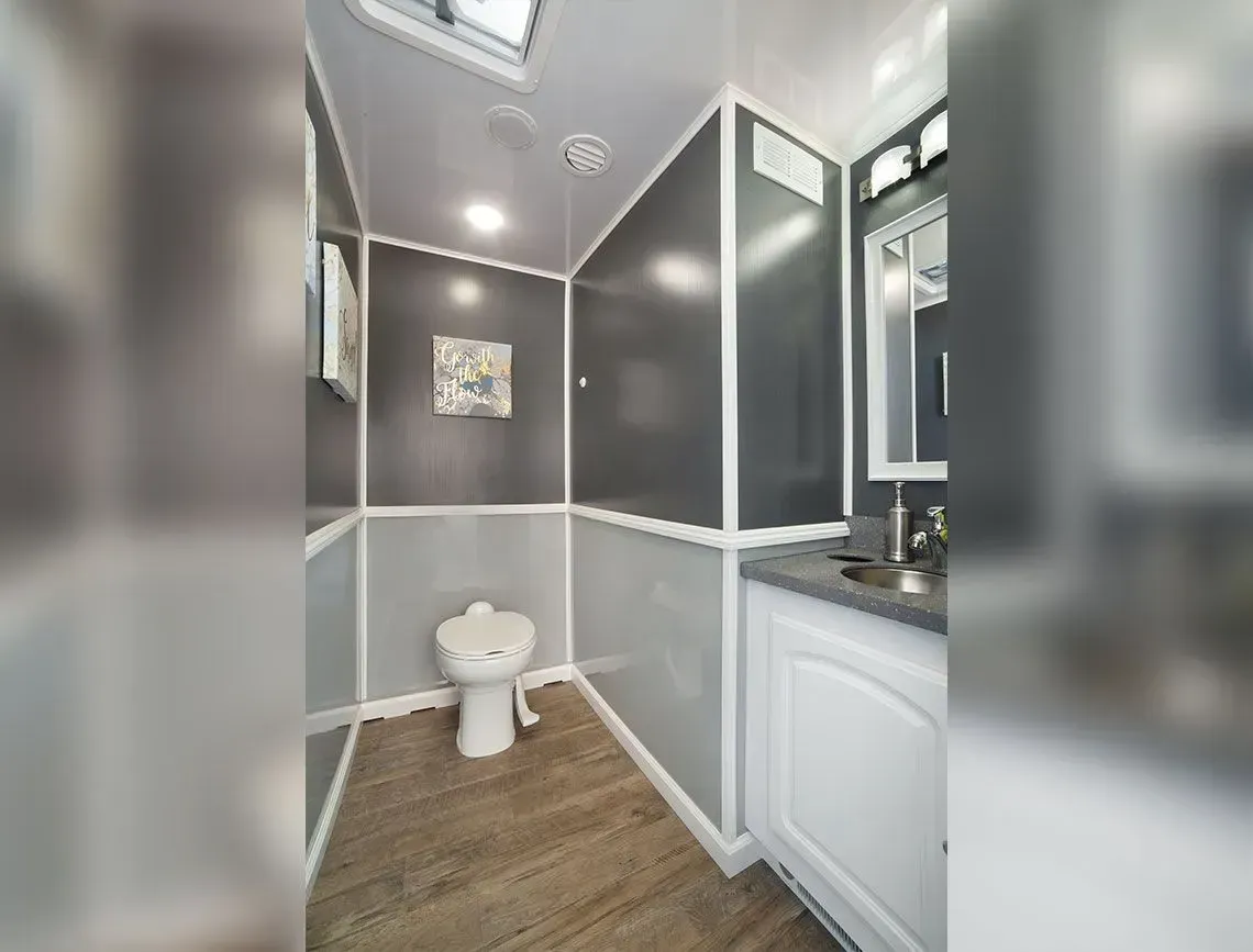 Small modern bathroom with white toilet, gray walls, wood-look floor, and a vanity sink.