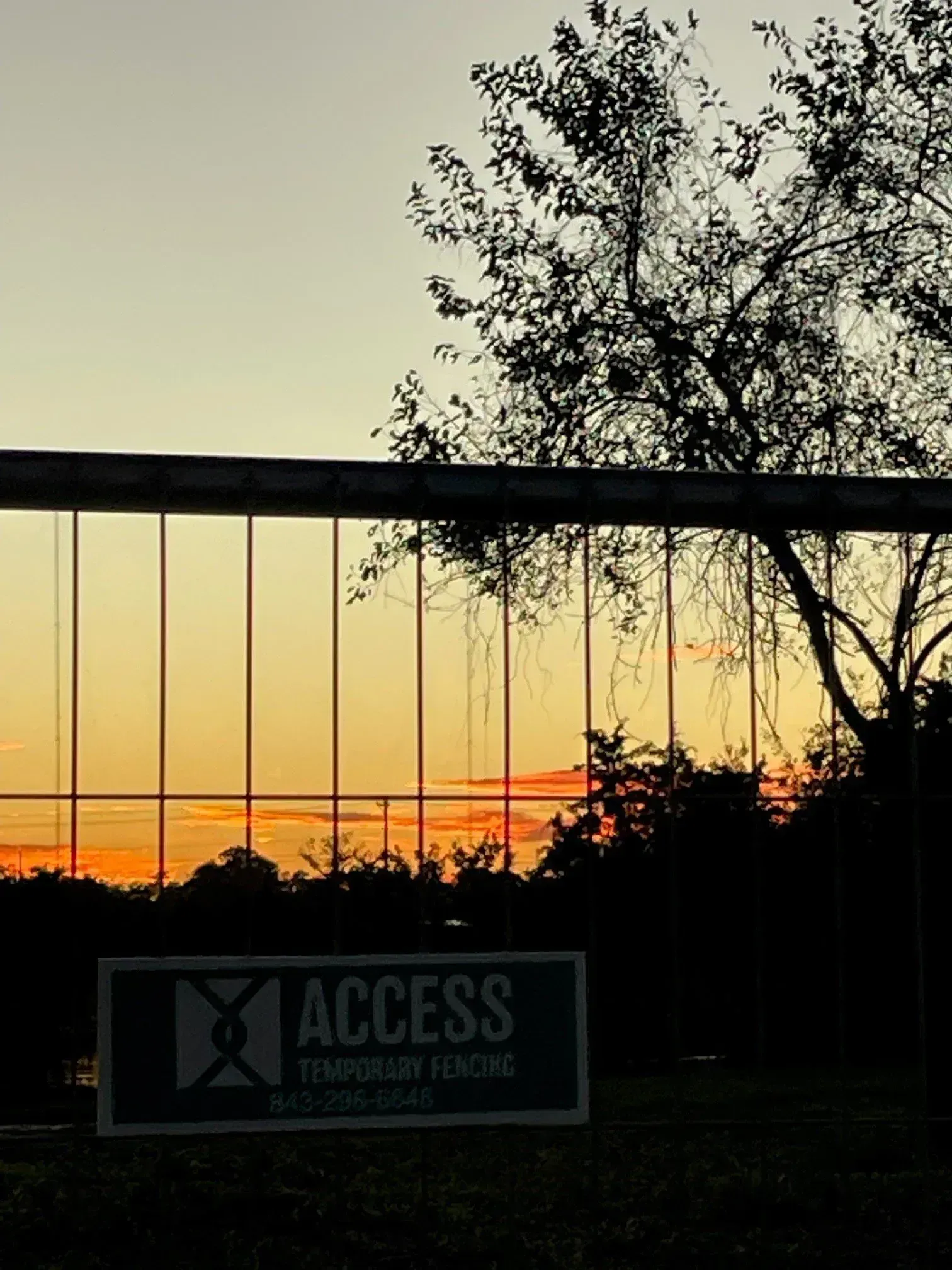 Sunset behind a fence and tree, with an ACCESS sign in the foreground.