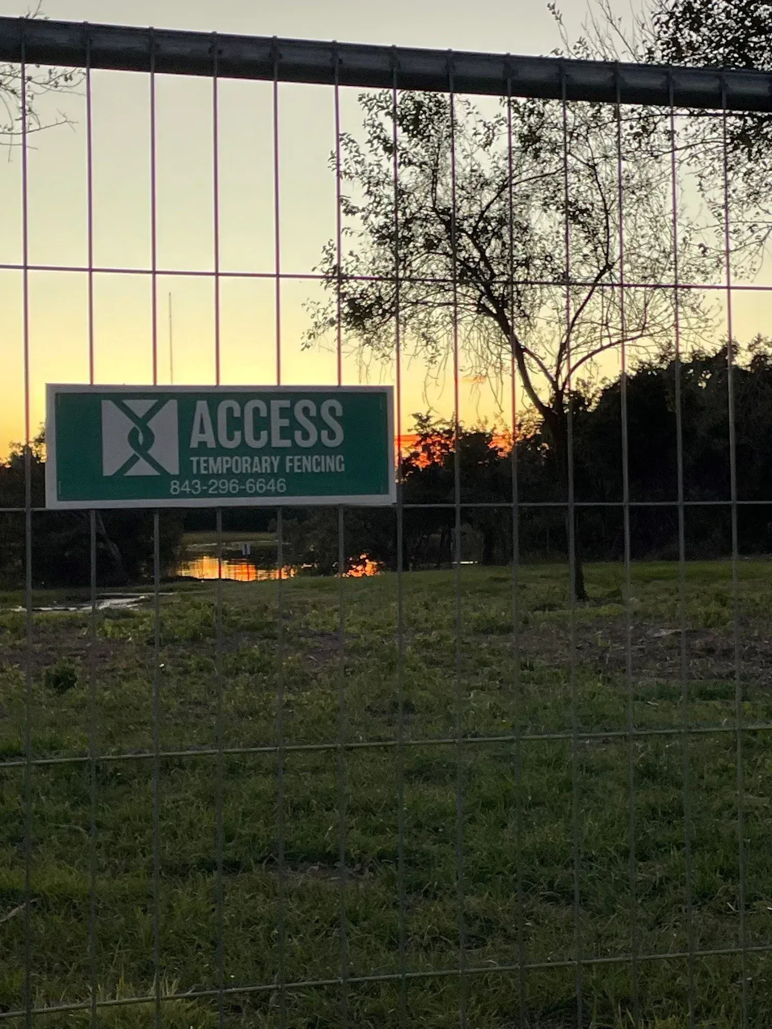 Green ACCESS sign on a fenced grassy lot at sunset with a tree silhouette.