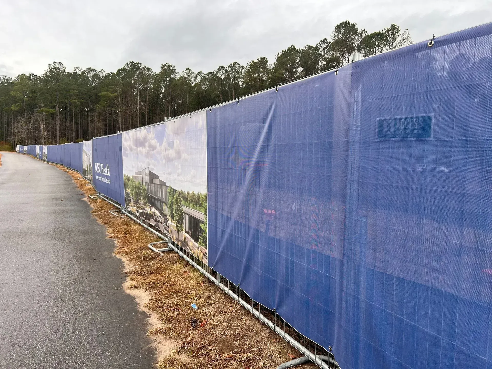 Blue construction fence lining a wet roadside beside a wooded area