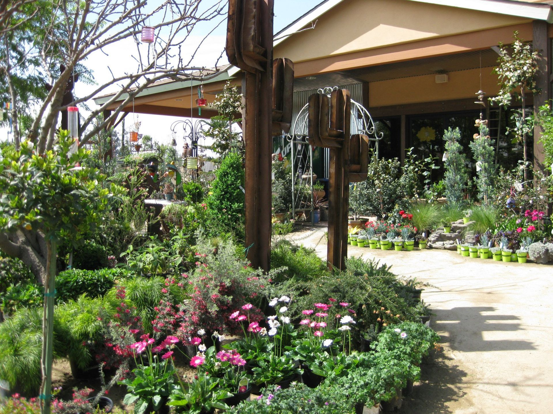 A garden with lots of plants and flowers in front of a house