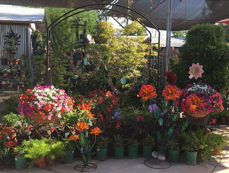 A garden with lots of potted plants and flowers
