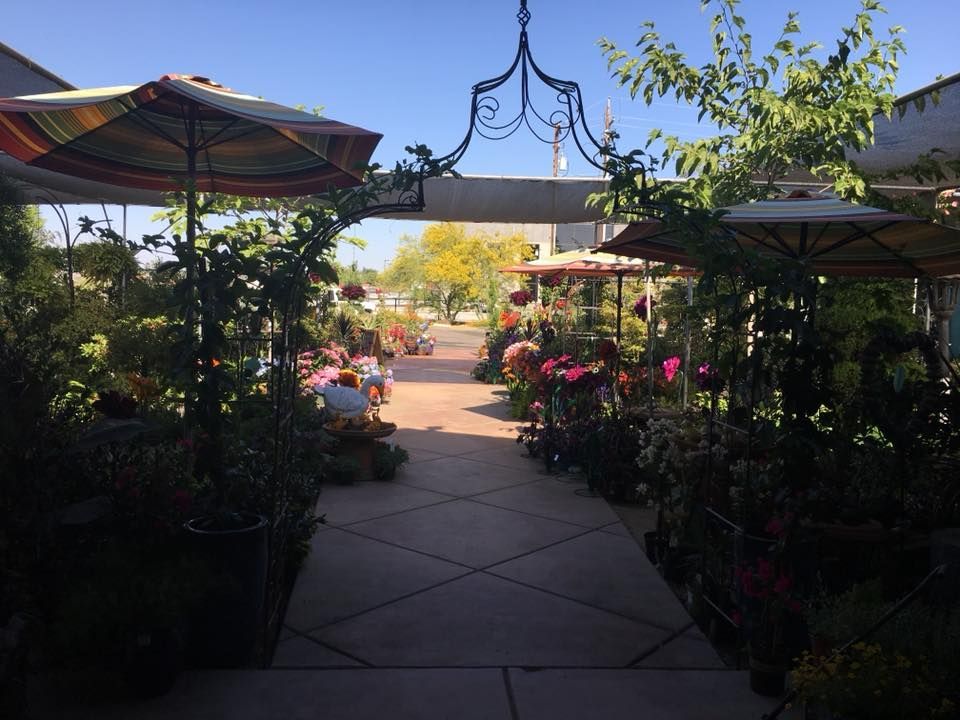 A patio with umbrellas and potted plants on a sunny day