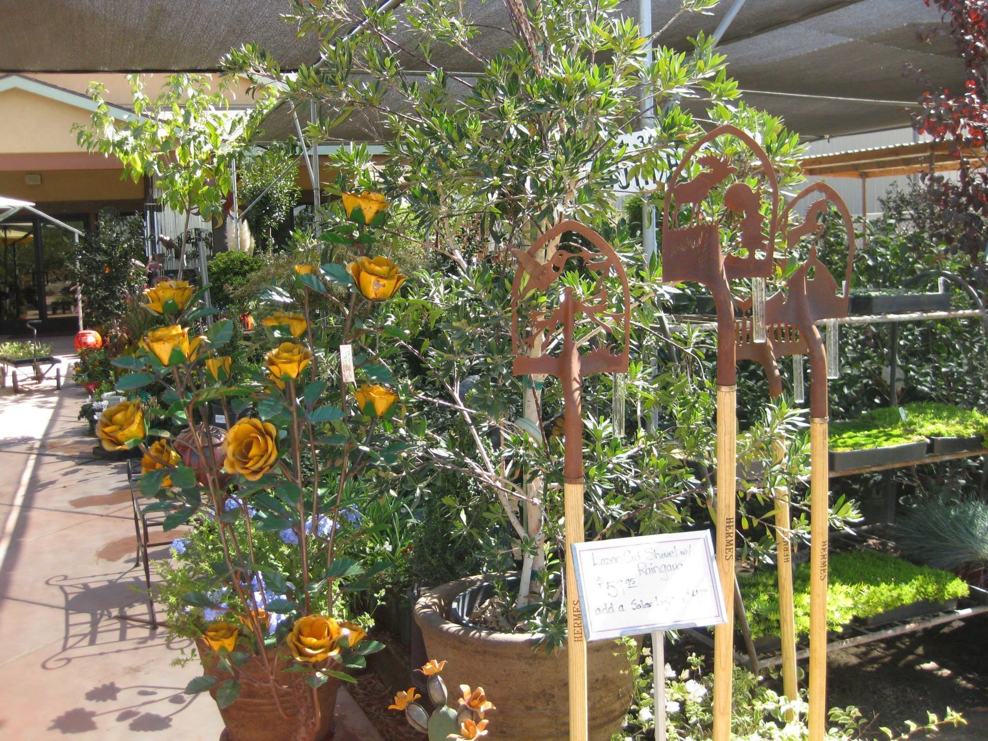 A potted plant with yellow flowers and a sign in front of it