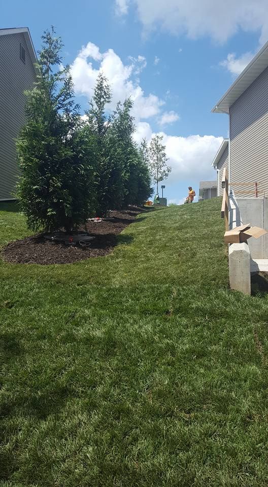 Grizzly Bear Lawn Care Work