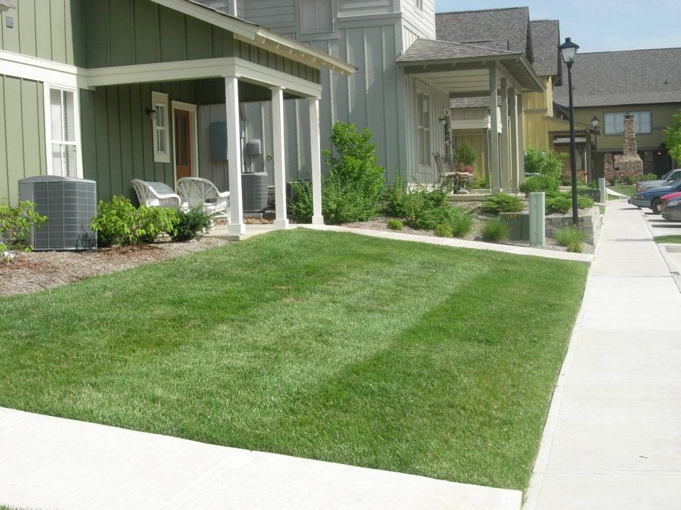 Grizzly Bear Lawn Care Work