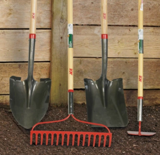 Three shovels and a rake are lined up next to each other