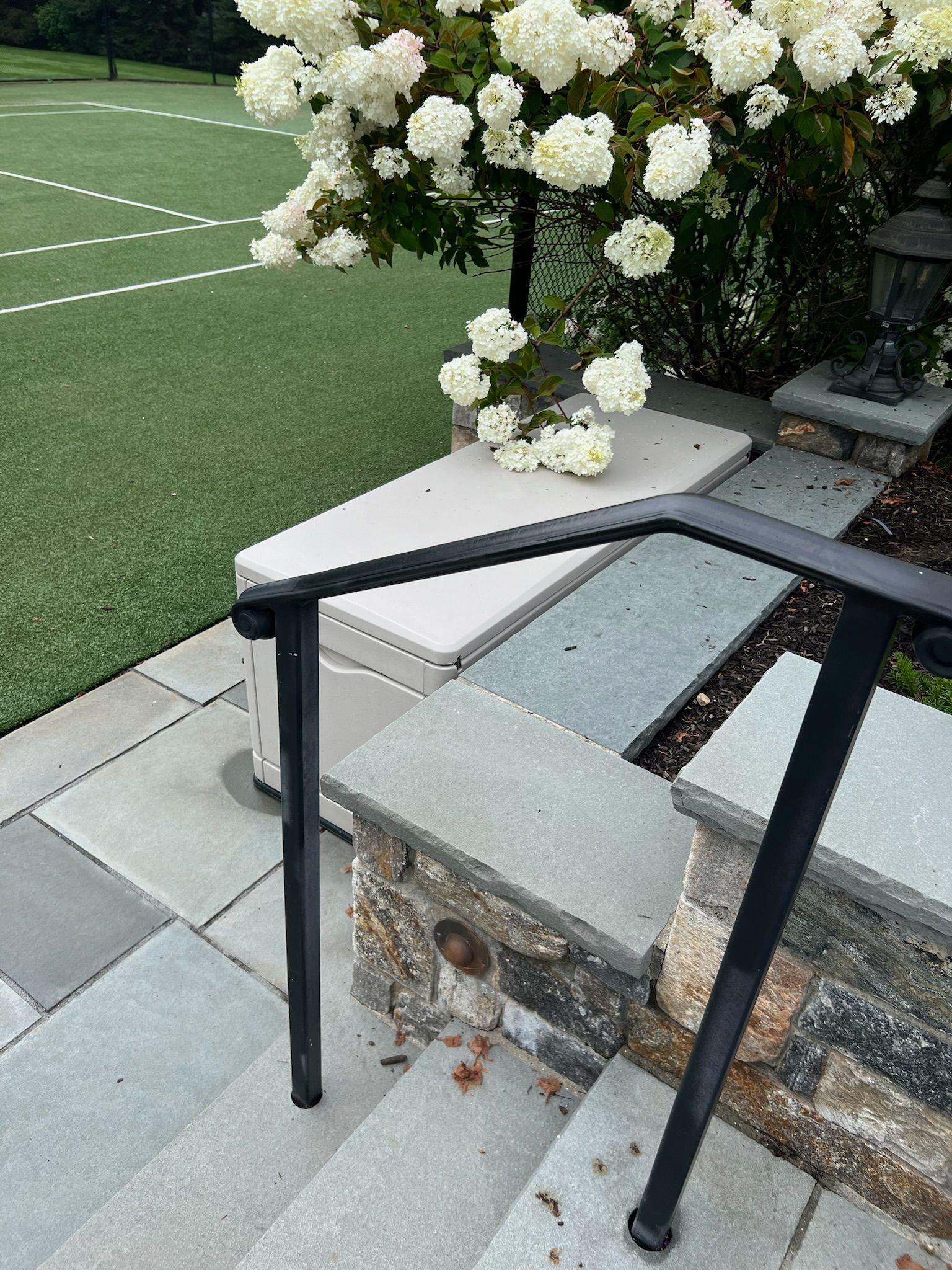White flowering vine beside black railings and stone steps next to a green lawn