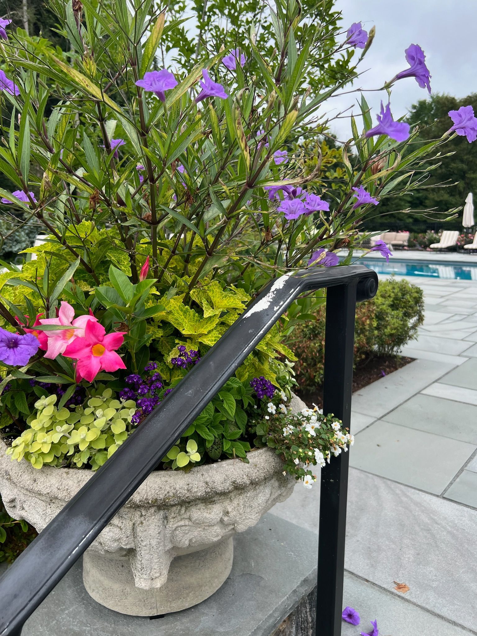 Stone planter with purple and pink flowers beside a pool deck and black handrail
