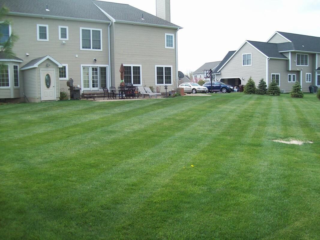 Lawn repair