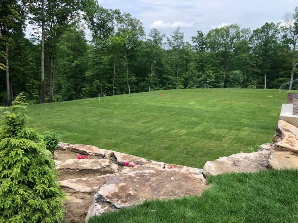 Lawn Repair Services