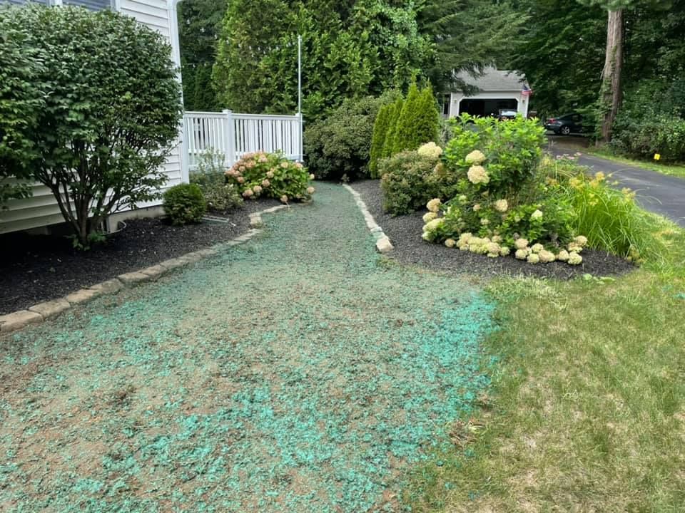 Hydroseeding