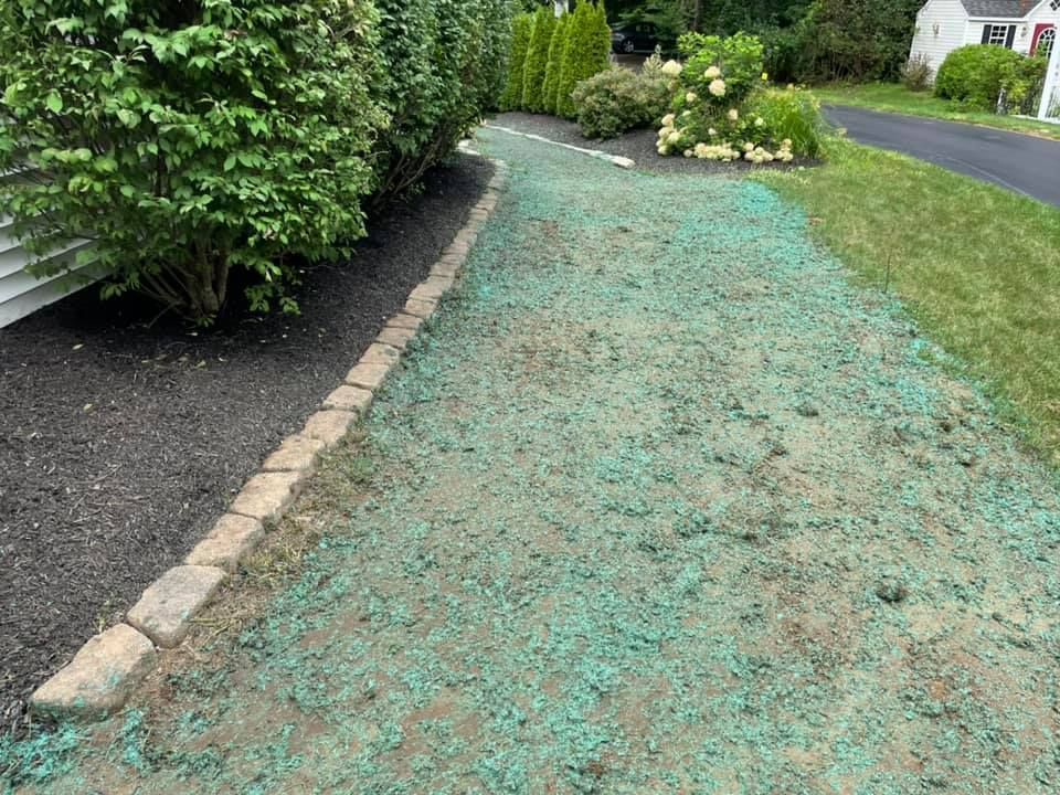 Hydroseeding Service