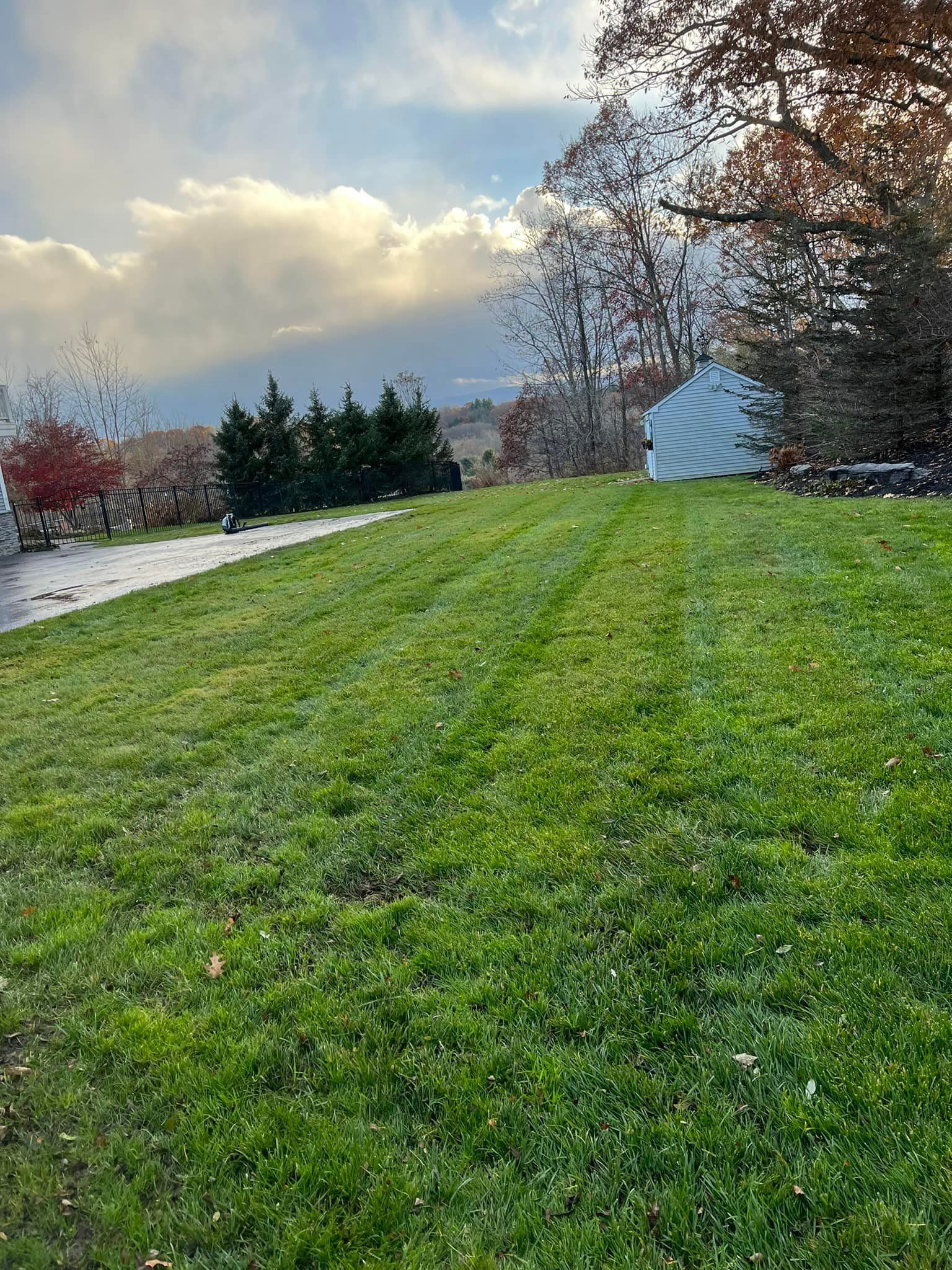 New Lawn