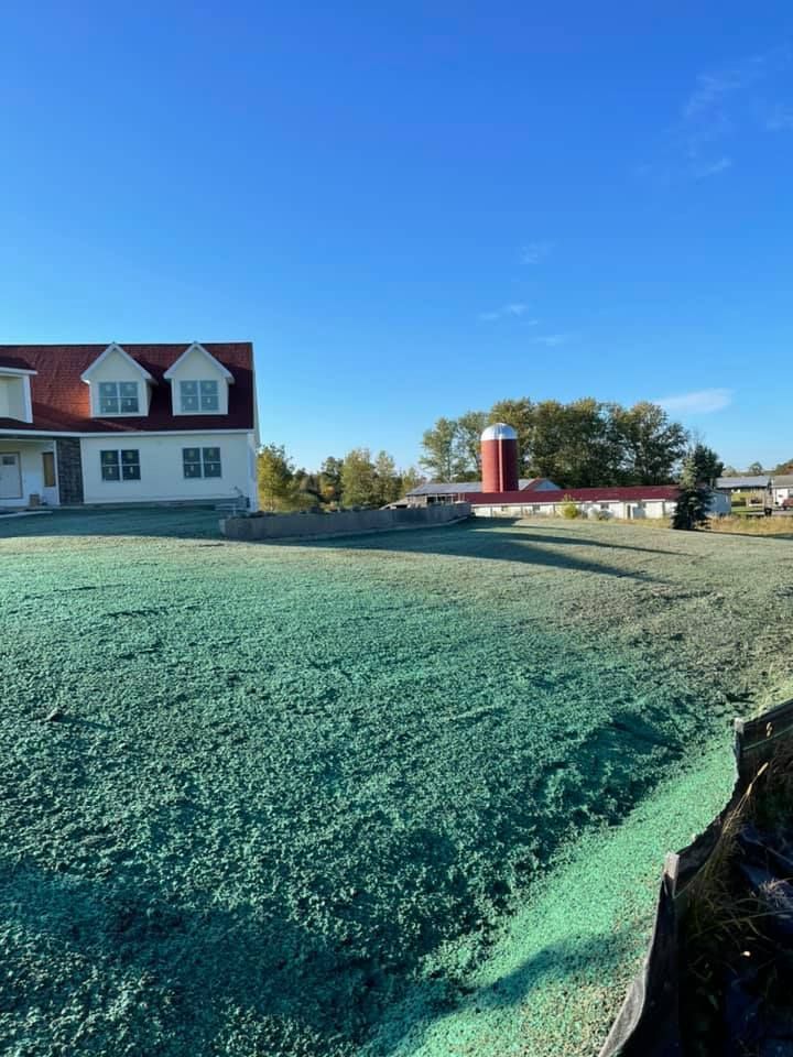 Residential Hydroseeding