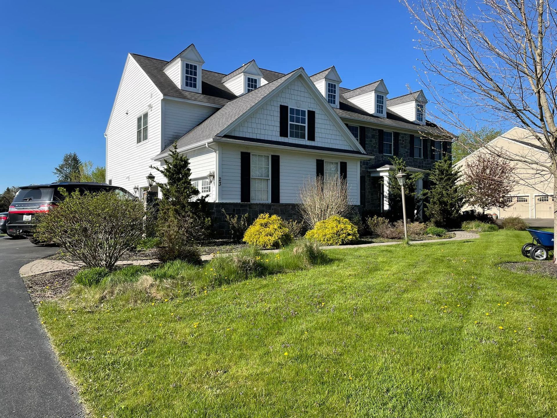 healthy and beautiful lawn