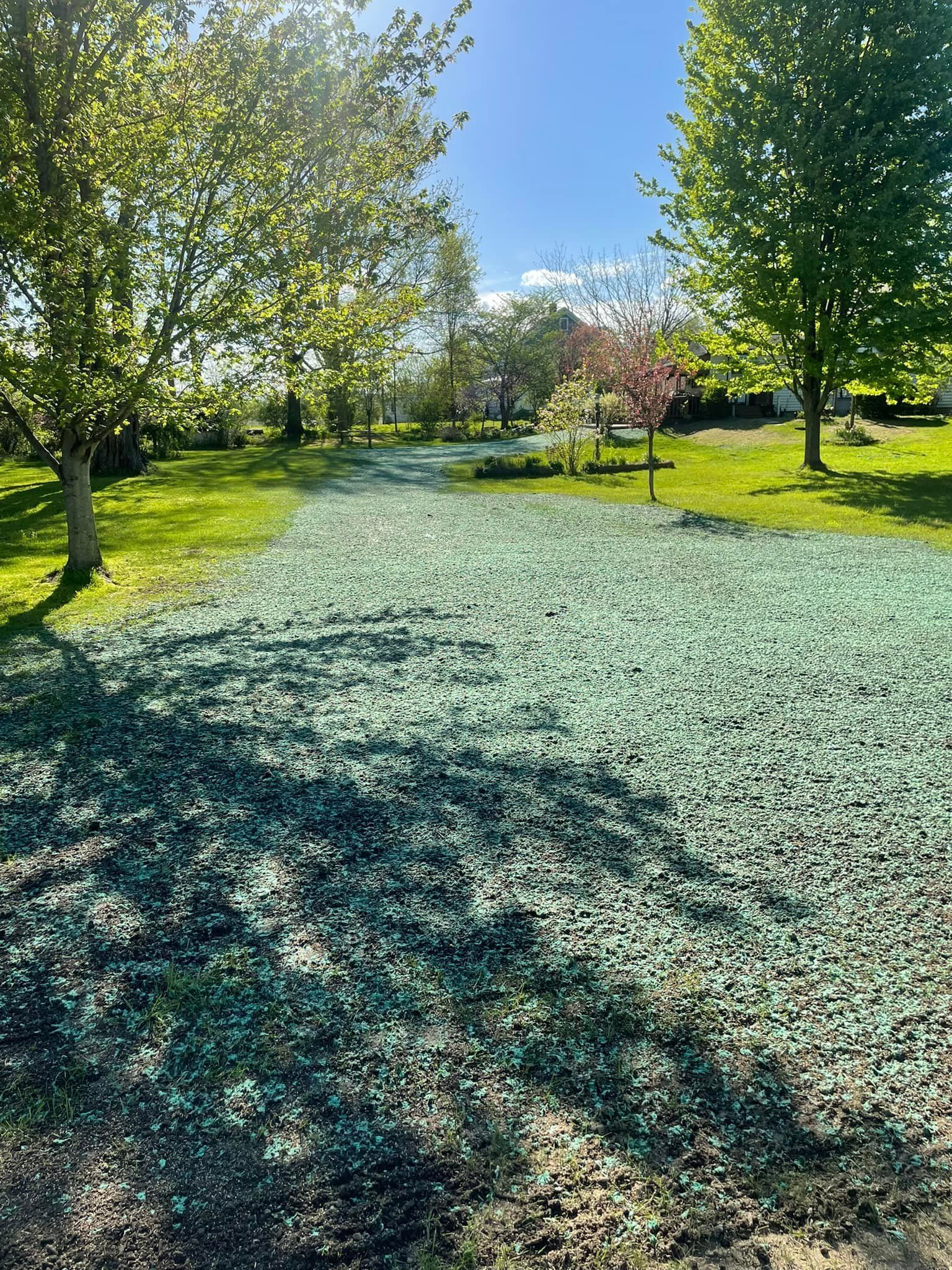 High-quality Hydroseeding