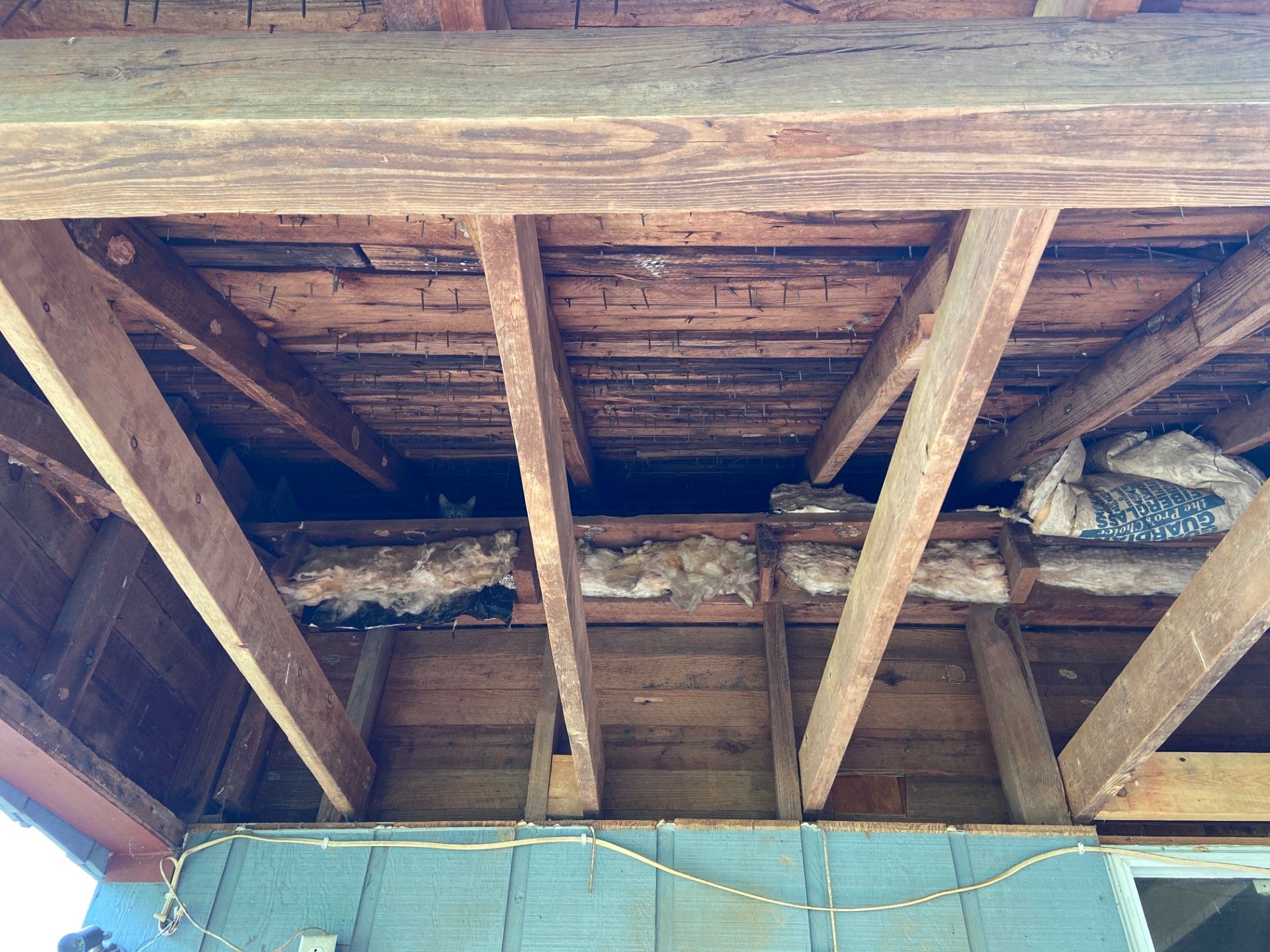 The ceiling of a building with wooden beams and insulation.