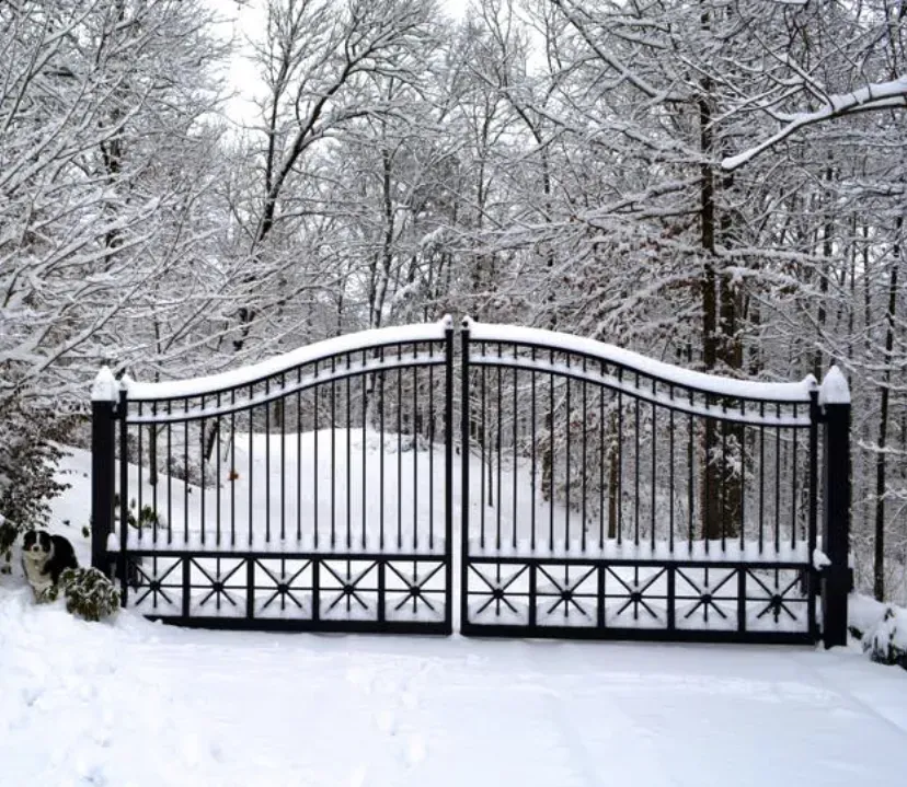 Black wrought iron gates covered in snow, leading to a snowy wooded area.