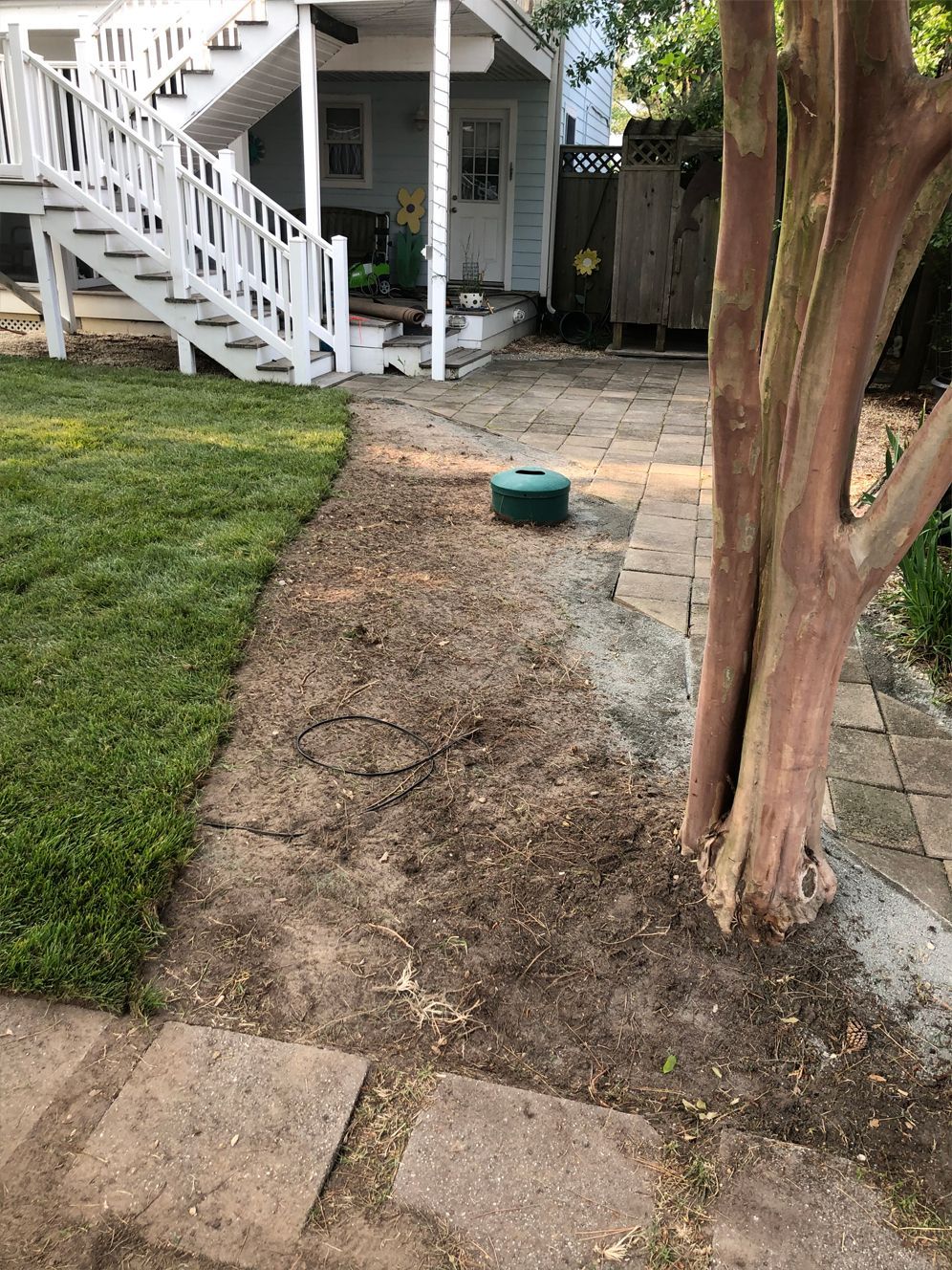 A tree in the middle of a yard next to a house with stairs.