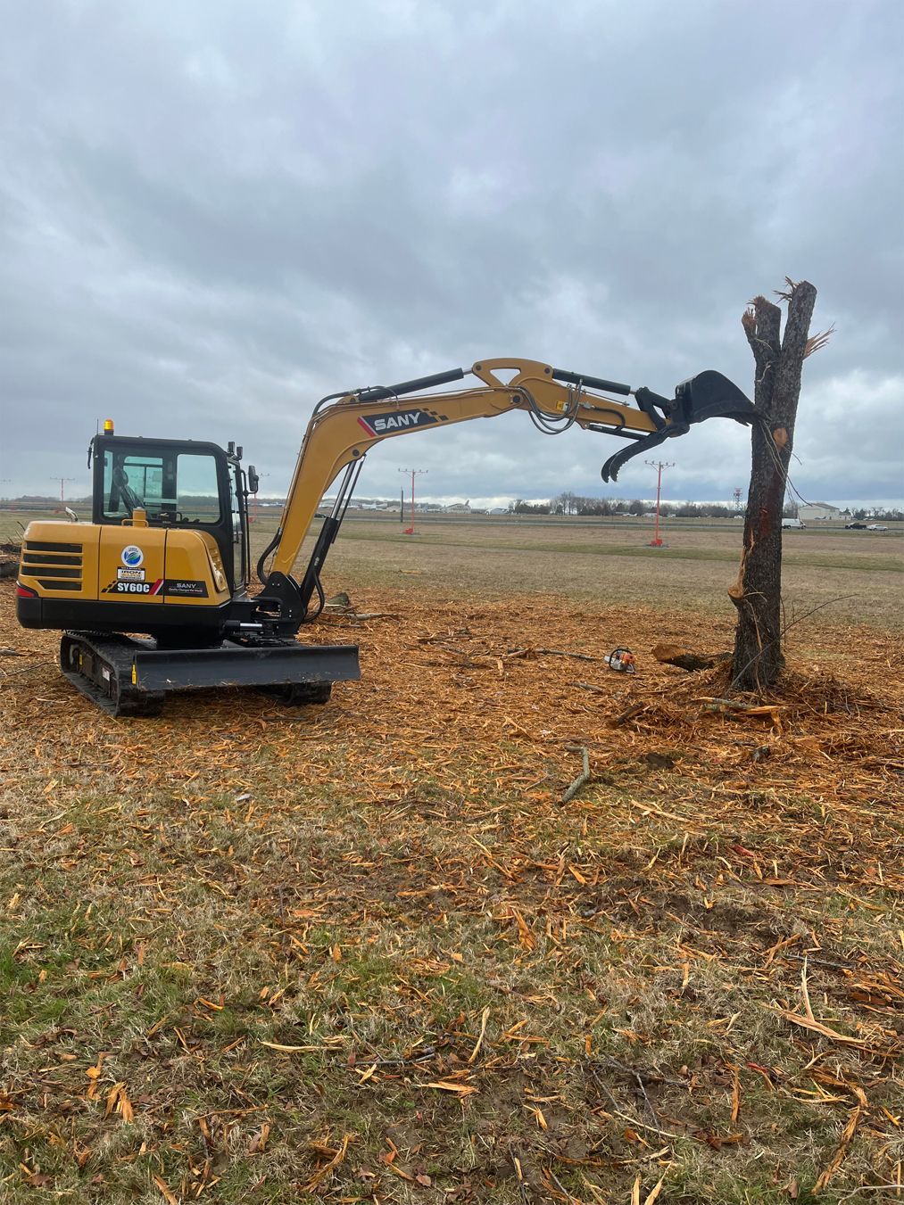 A small excavator is cutting a tree in a field.