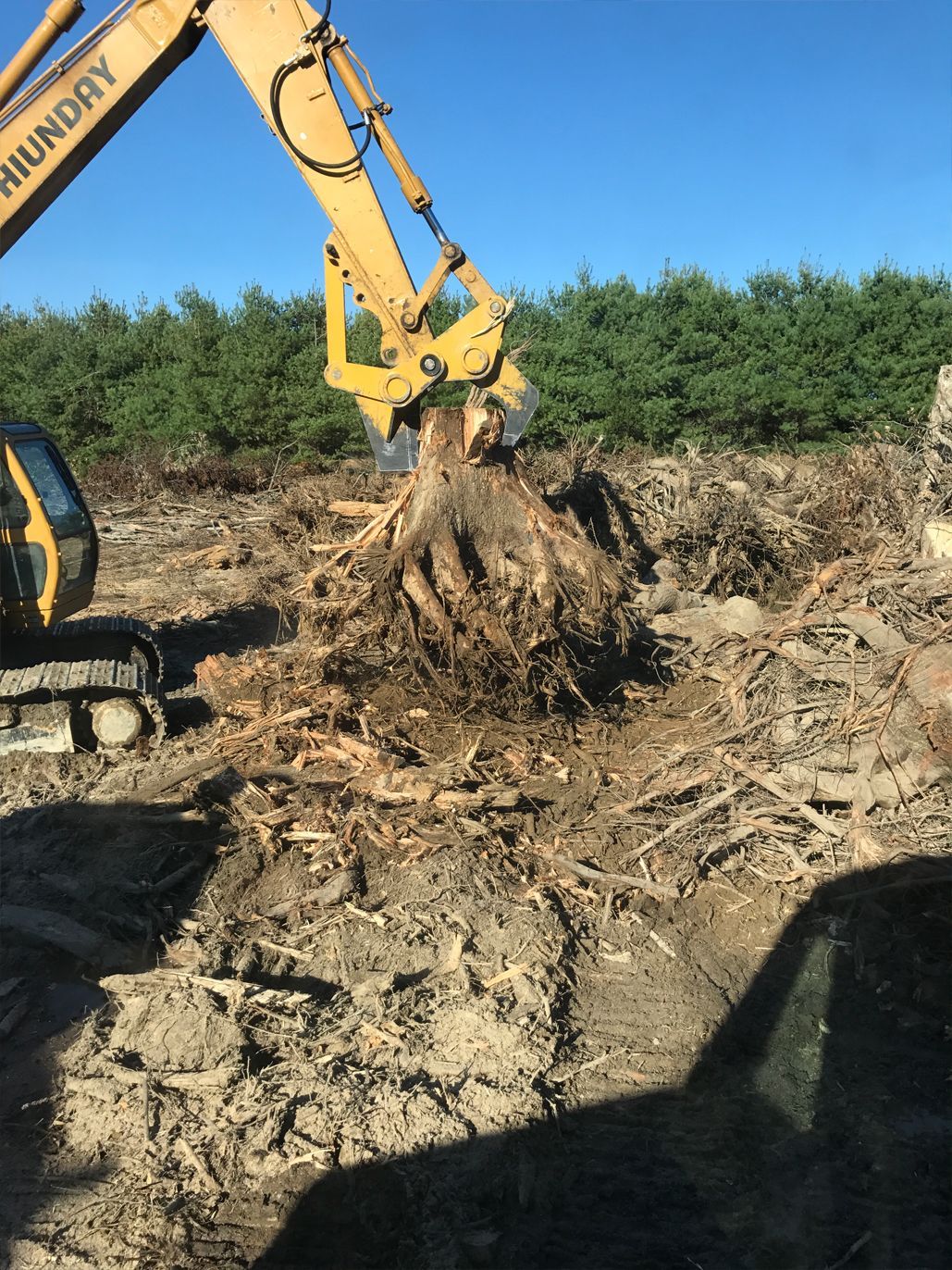 A yellow excavator is digging a hole in the dirt.