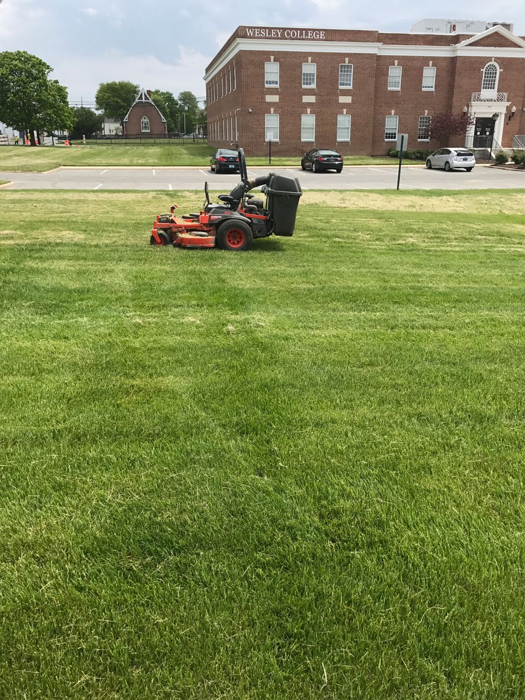 A person is using a lawn mower to cut the grass in a park.