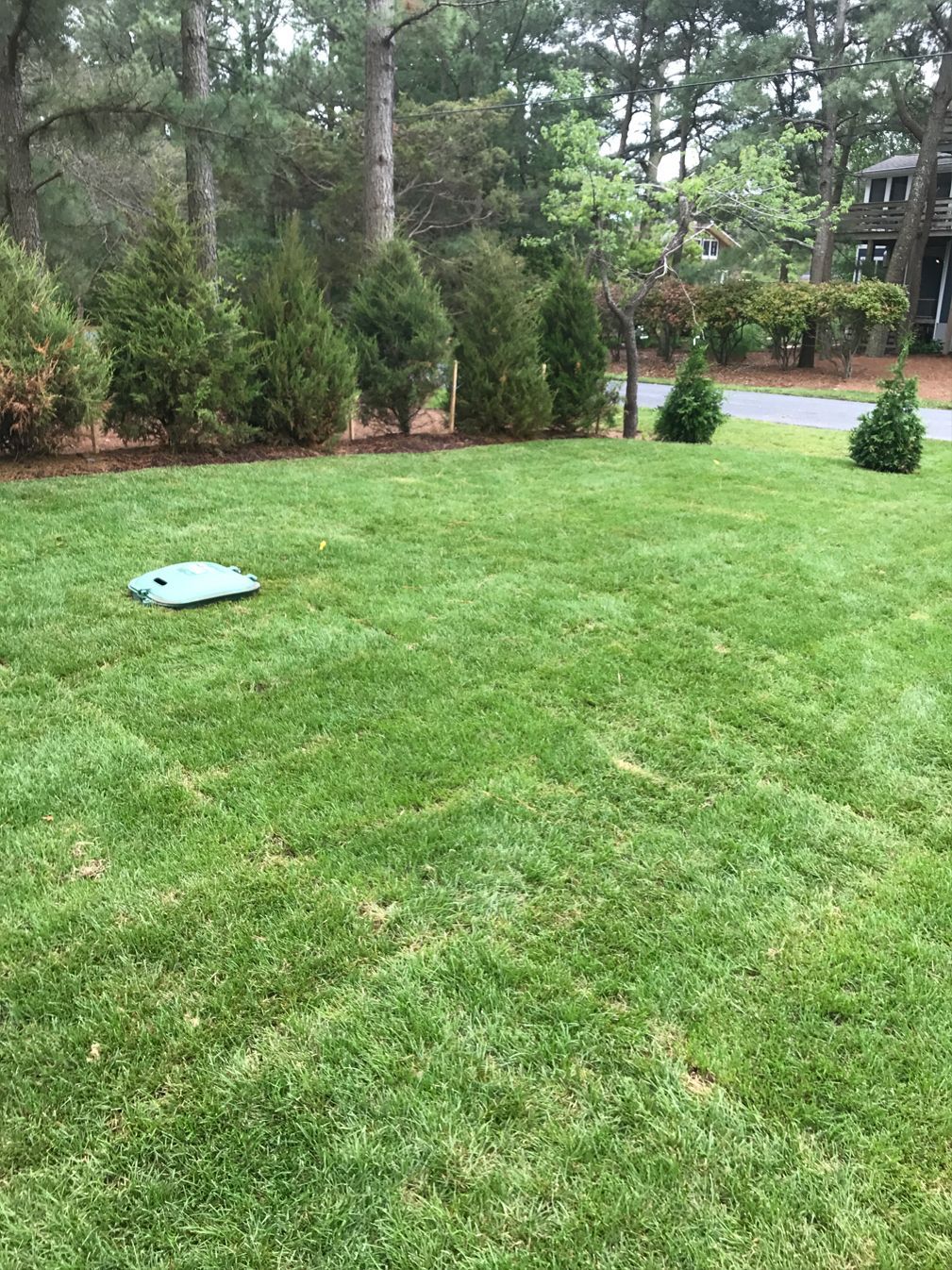 A lush green lawn with trees in the background.