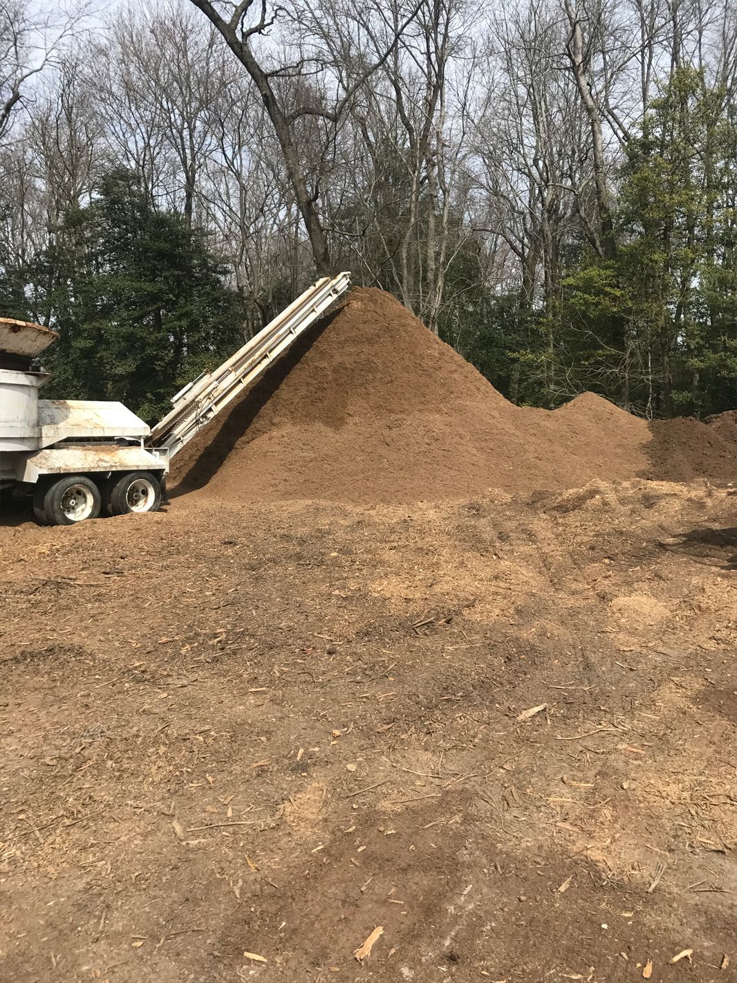 A dump truck is loading dirt into a pile in a field.