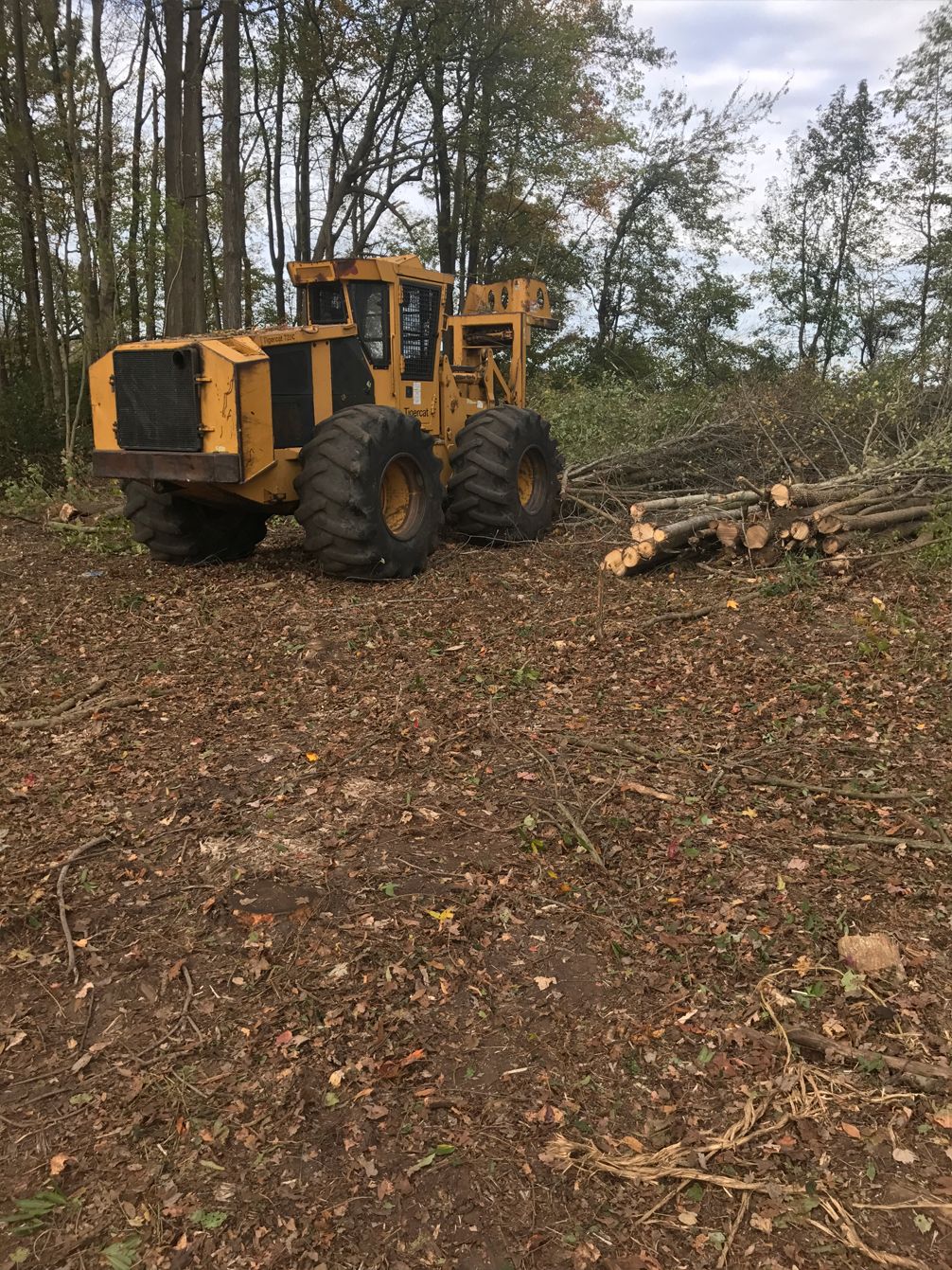 A yellow tractor is sitting in the middle of a forest.