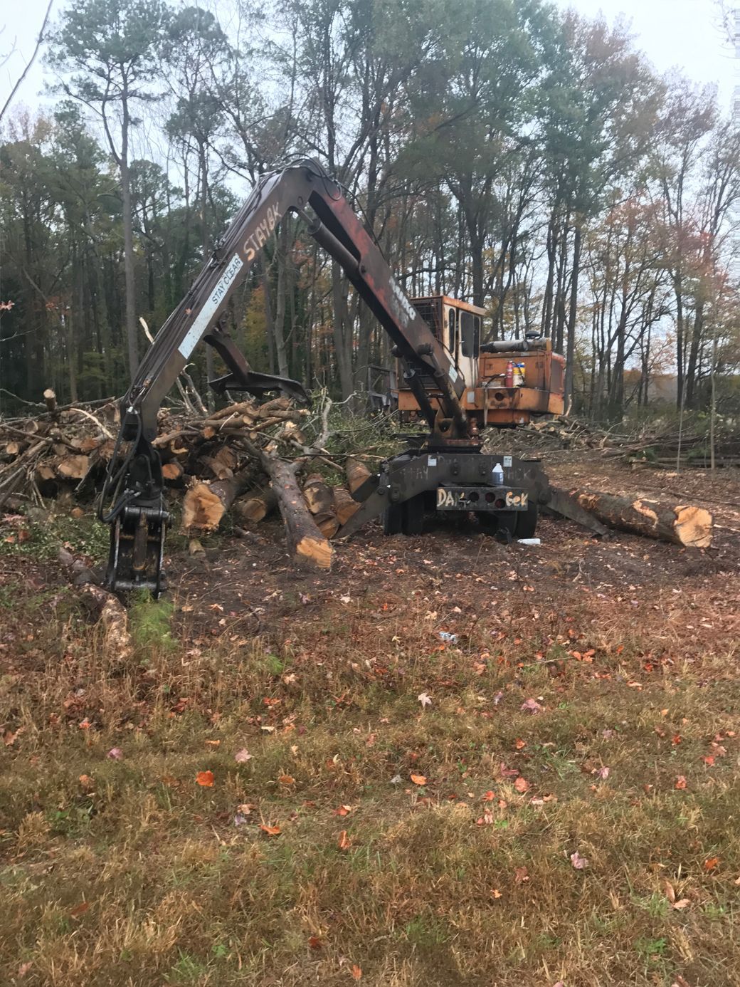 A large machine is cutting down trees in a field.