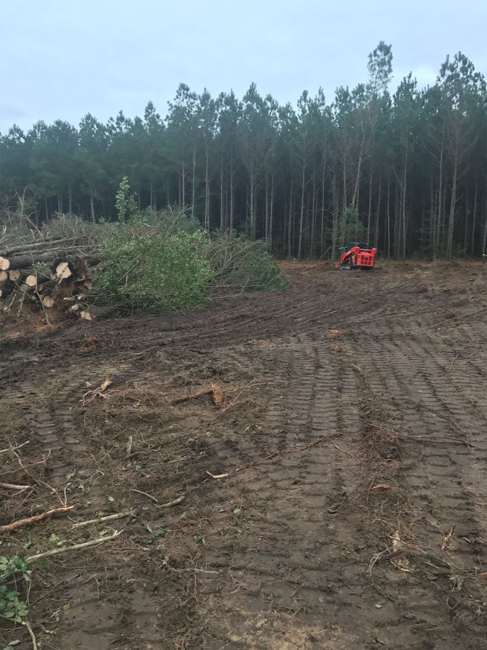 A red tractor is driving through a dirt field next to a forest.