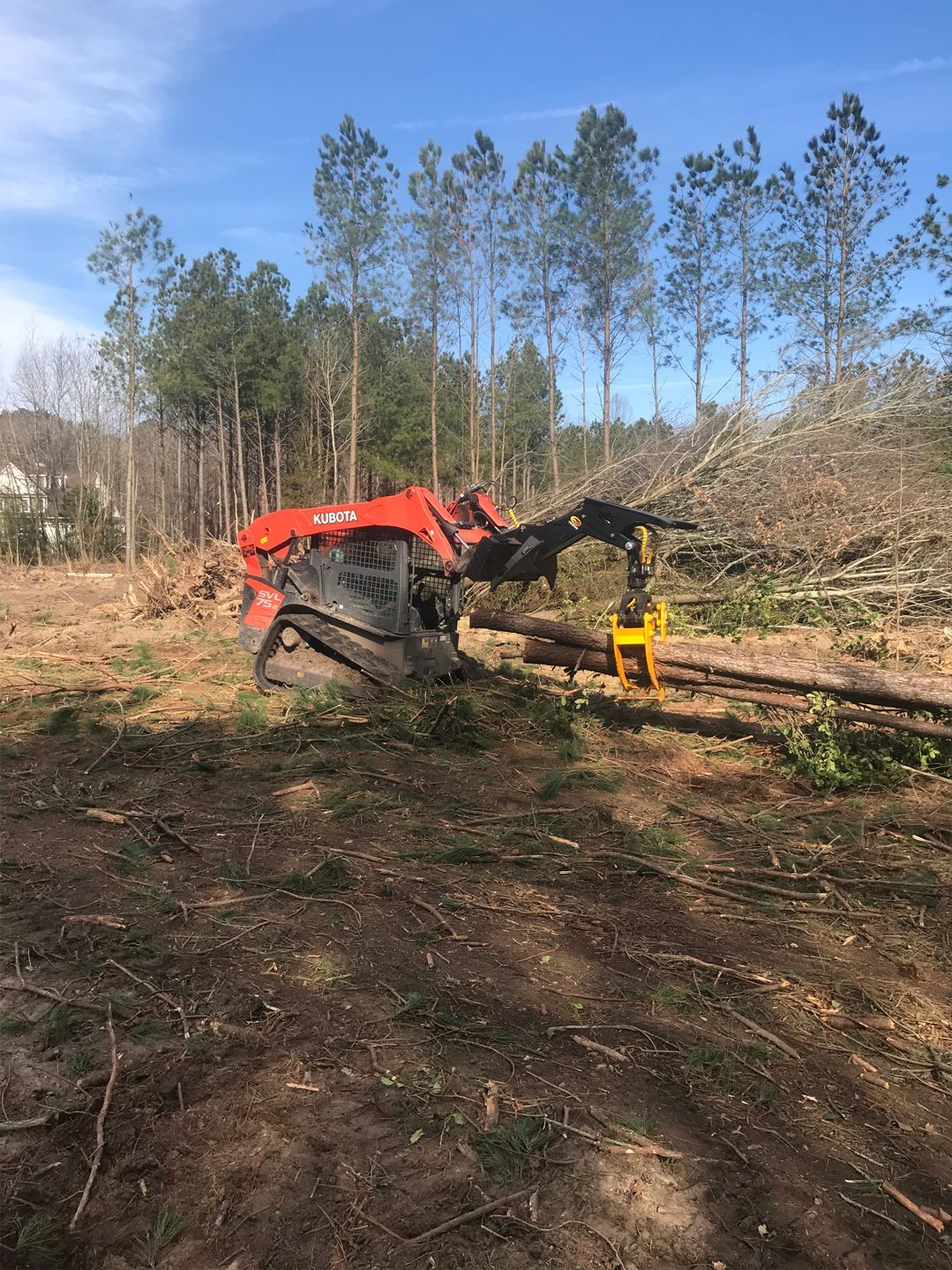 A tractor is cutting down trees in a field.