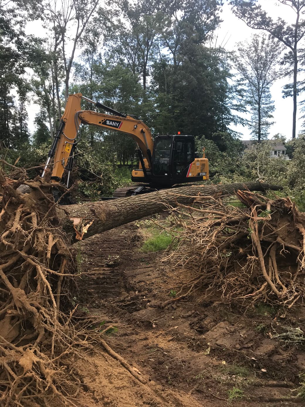 A bulldozer is cutting down trees in a forest.