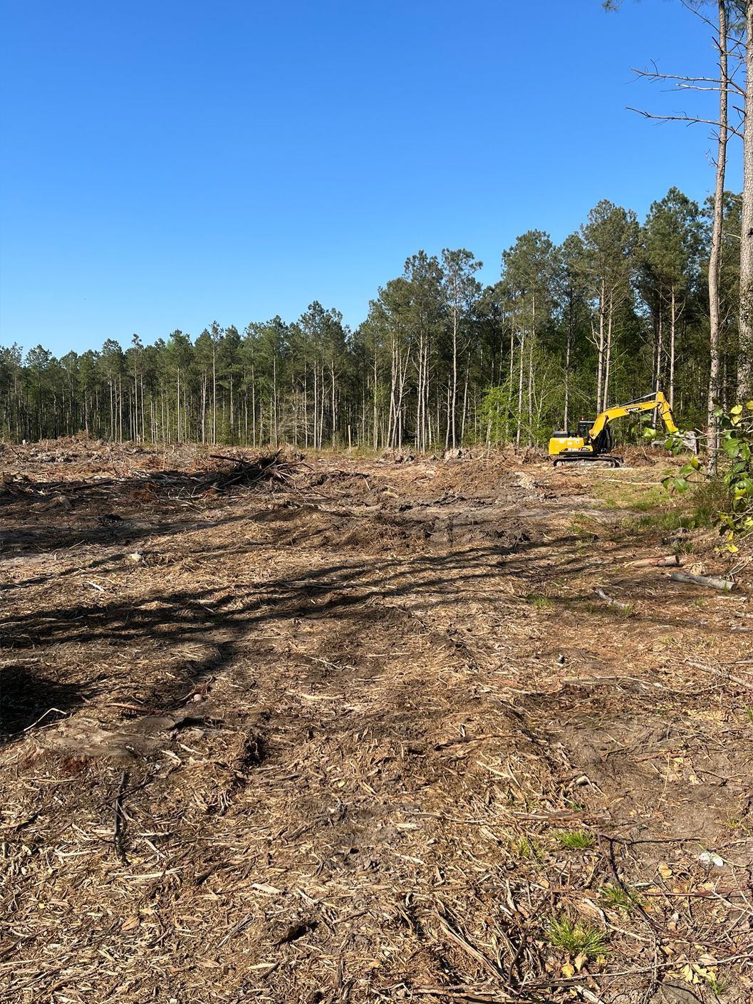 A yellow excavator is cutting down trees in a field.