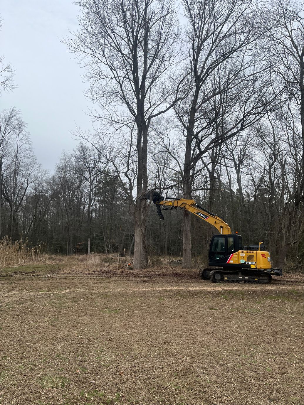 A yellow excavator is cutting down trees in a field.