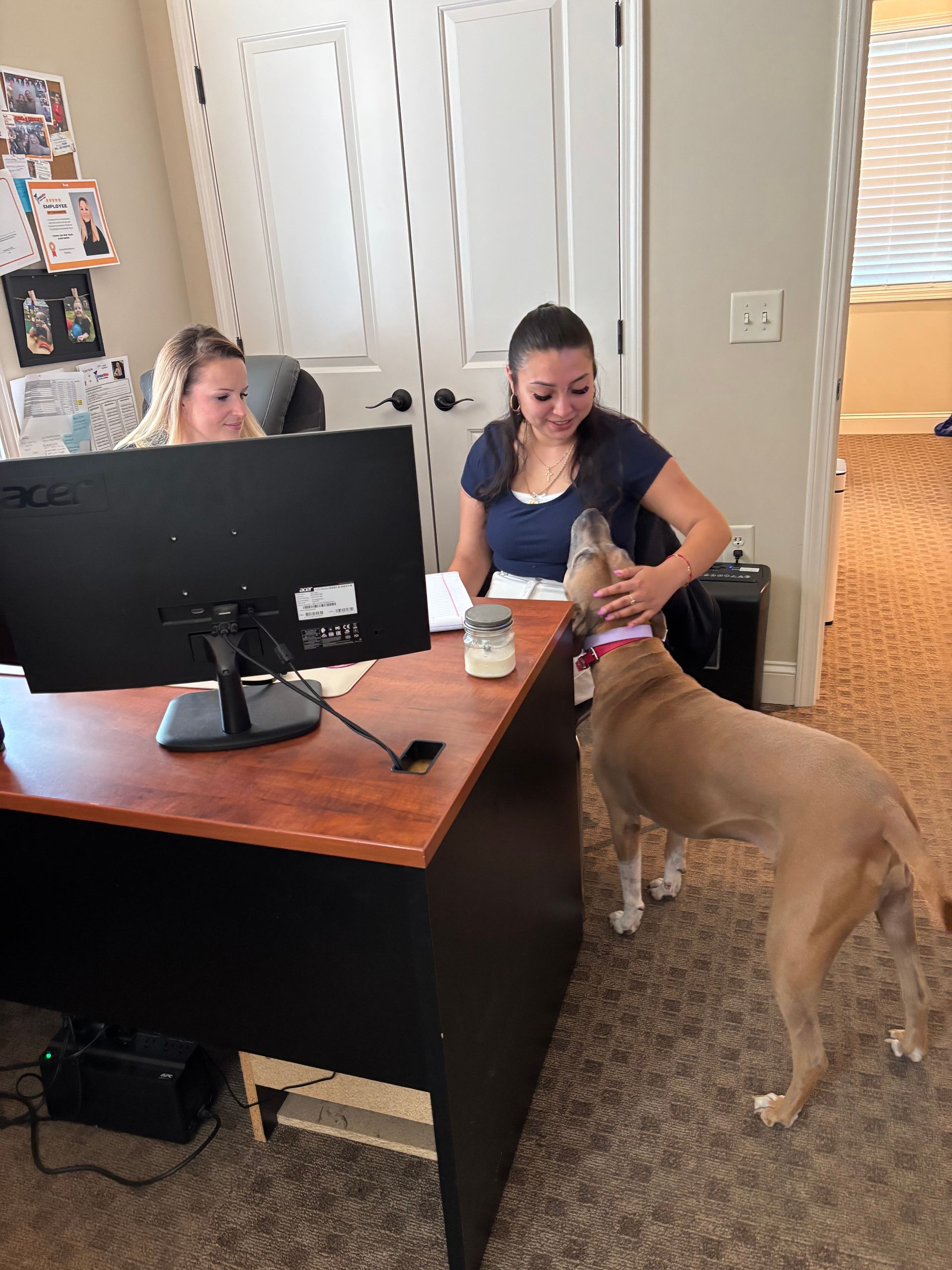 Two women at a desk, one petting a dog. An office setting with a computer and papers.