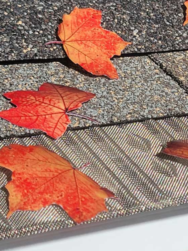 Autumn leaves on a roof with gutter guard, orange and red colors.