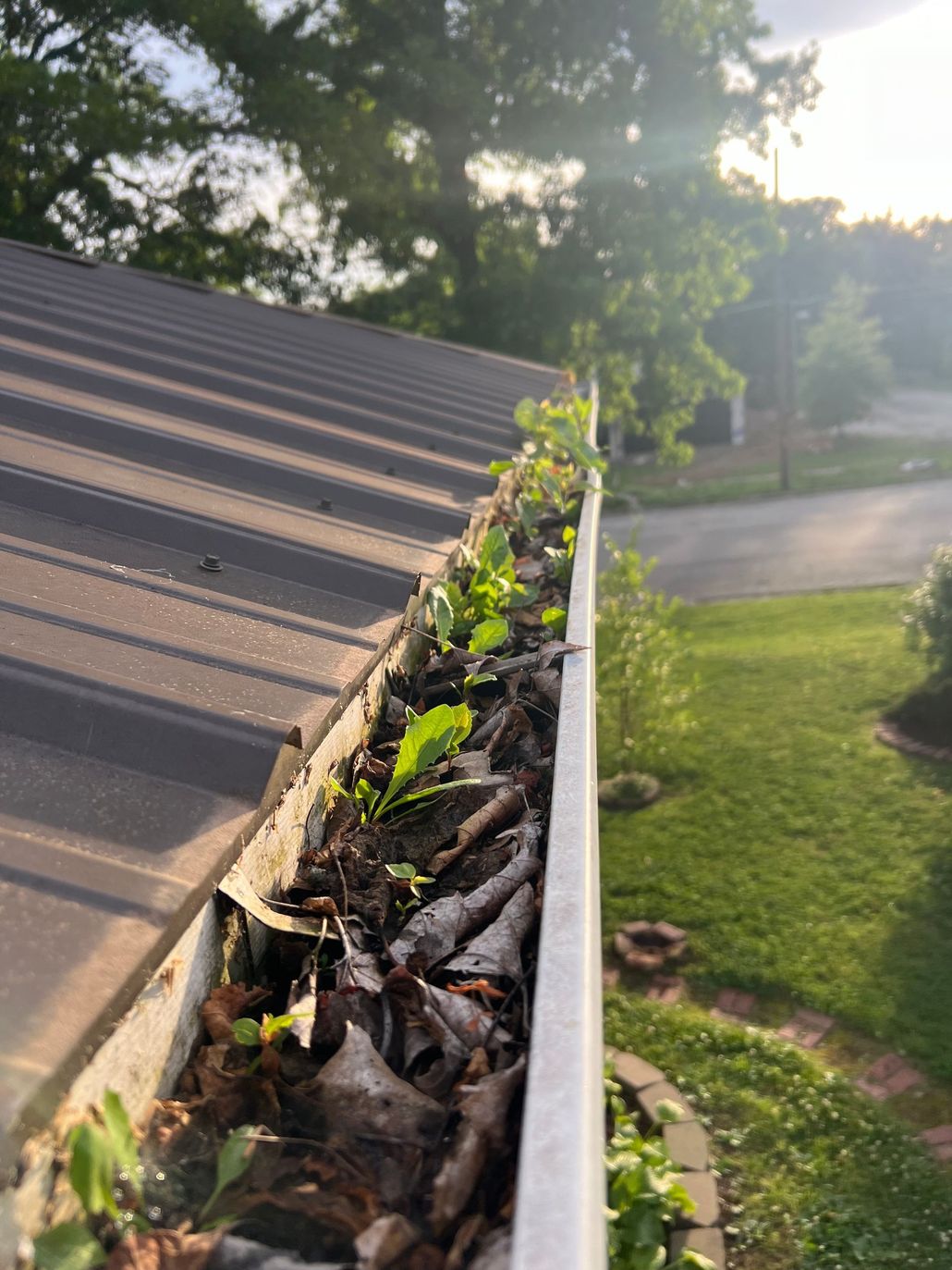 Above All Guttering