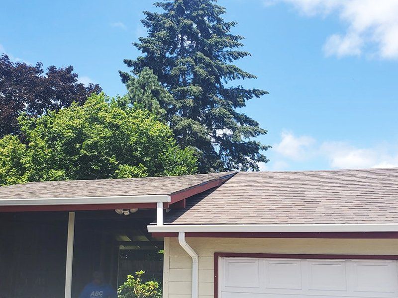 Residential Roofs