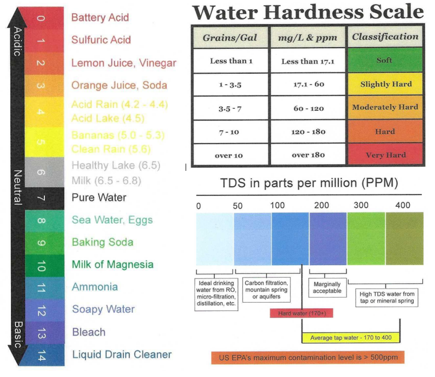 How Does Water Quality Affect Our Health