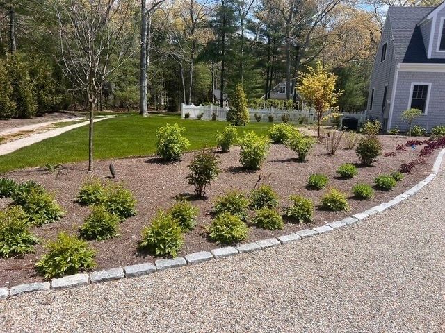 Landscaped gravel driveway with small shrubs beside a gray house and wooded yard
