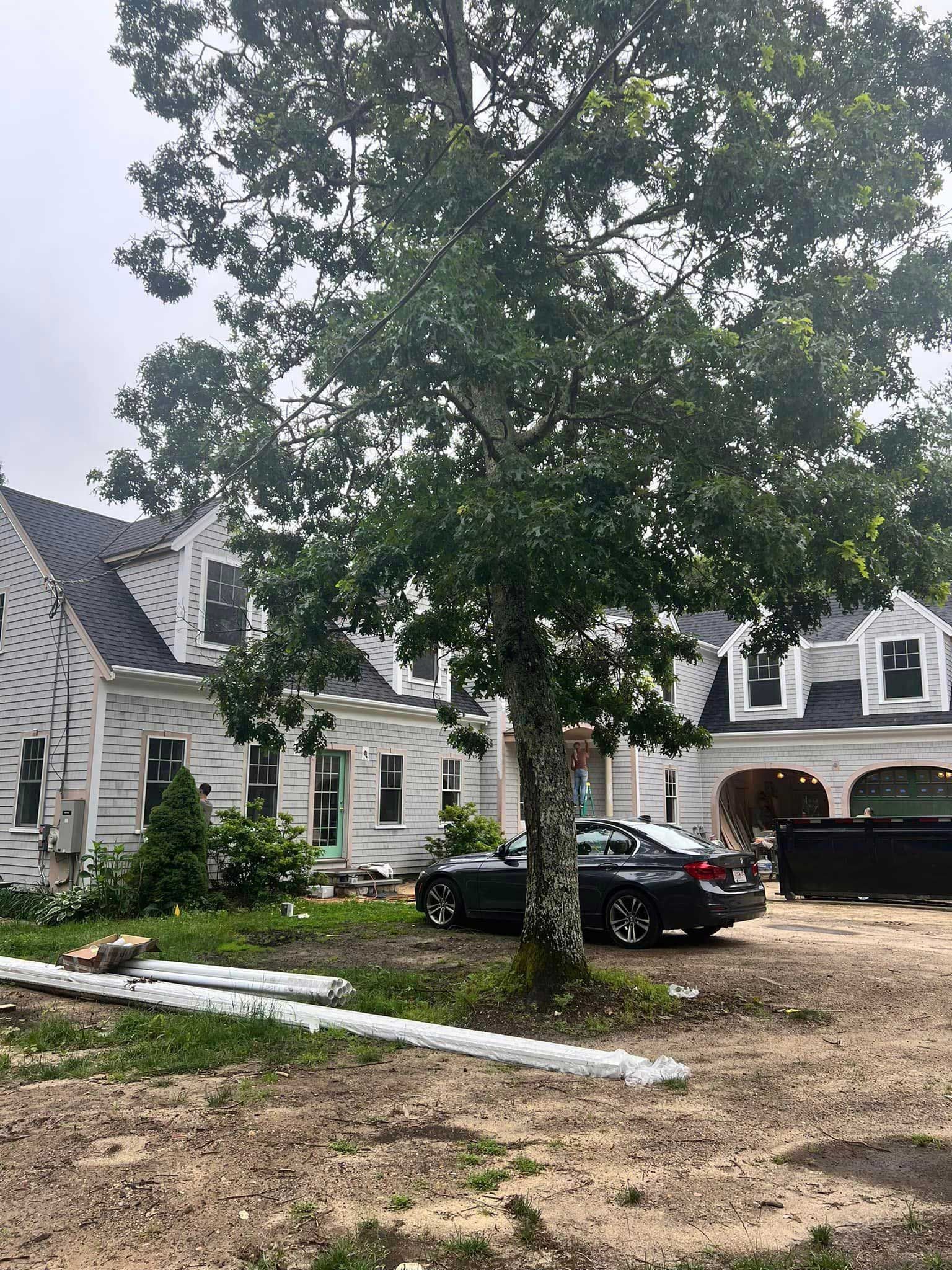 Large white house with a tall tree in the front yard and cars parked on a gravel driveway.