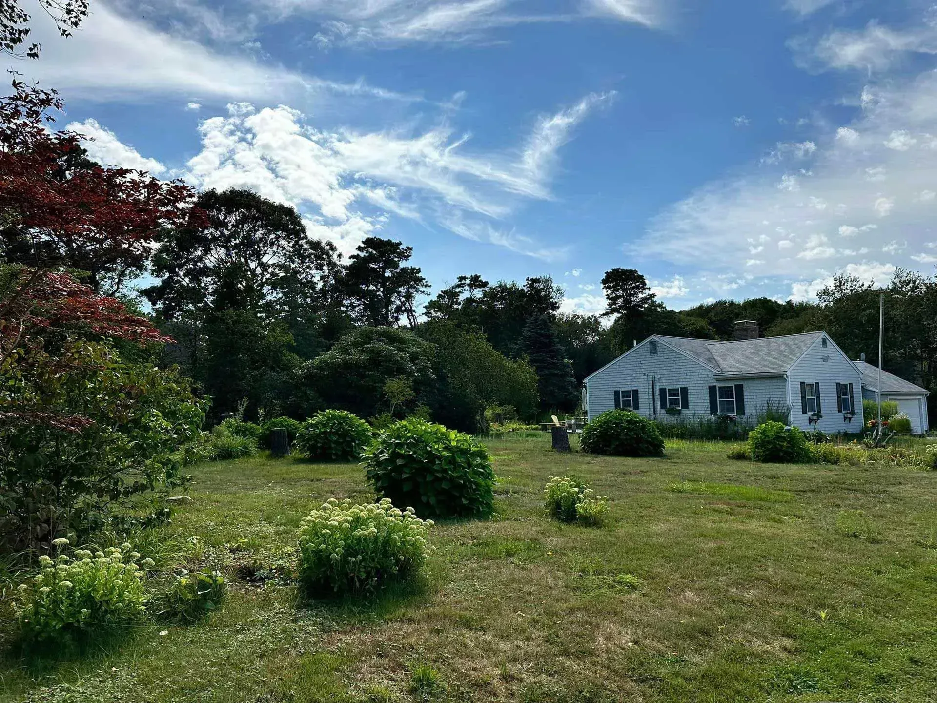 Grassy yard with shrubs and a white house under a blue, partly cloudy sky