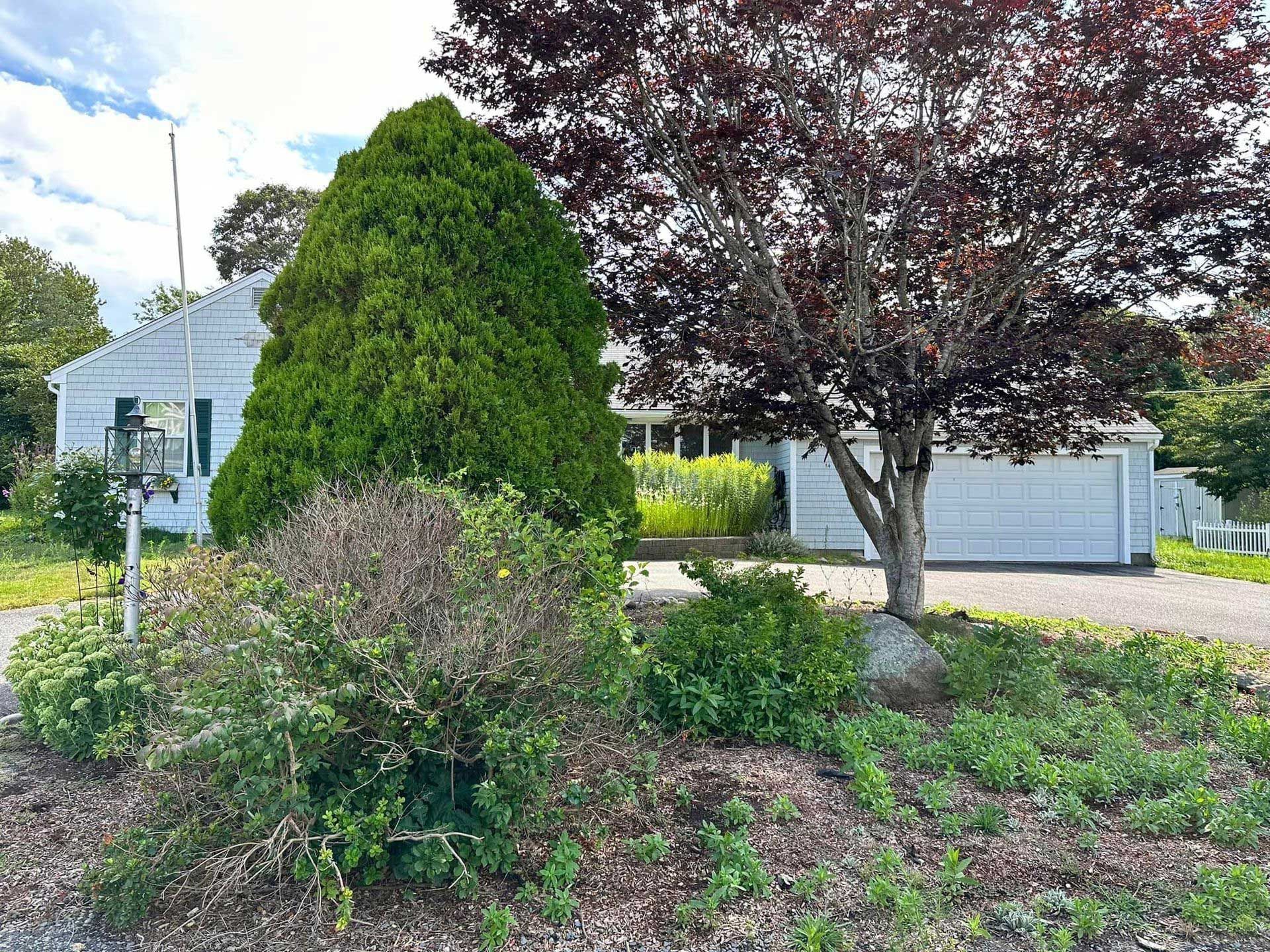 Front yard with shrubs and trees in front of a white house on a sunny day