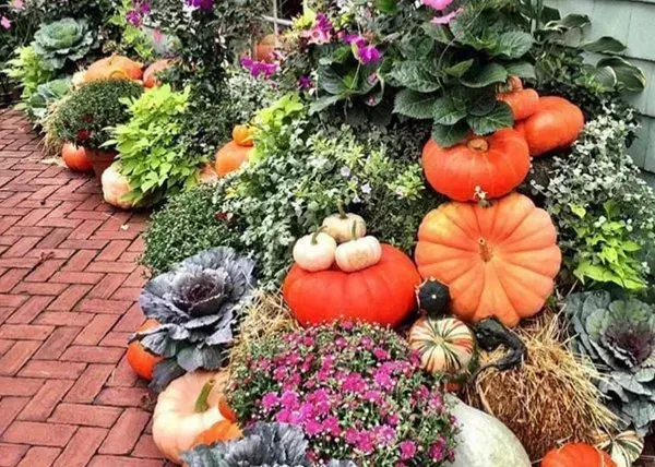 Autumn pumpkin and flower display along a brick walkway