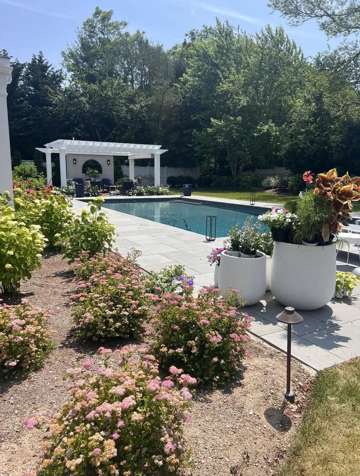 Sunny garden patio with a swimming pool, white pergola, and pink flowers in planters